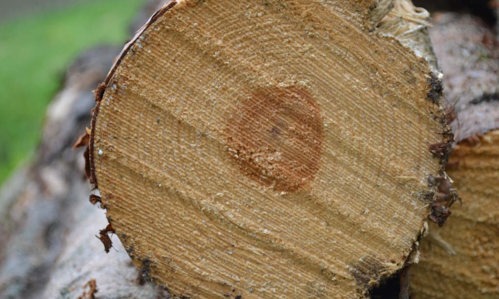 Skogsåkerierna drabbas av krisande skogsnäring