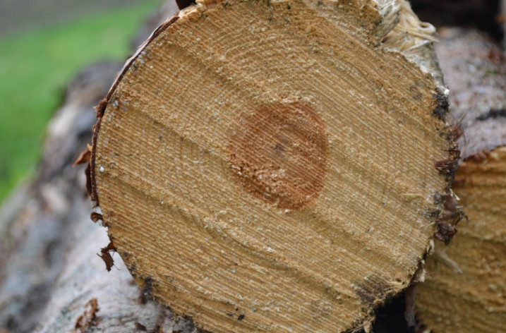 Skogsåkerierna drabbas av krisande skogsnäring