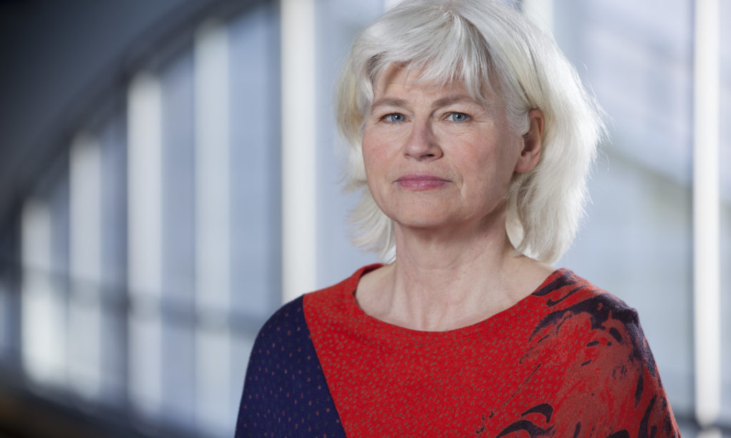 20 år i transportpolitikens tjänst